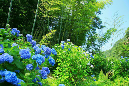527652 (a): :1920x1280